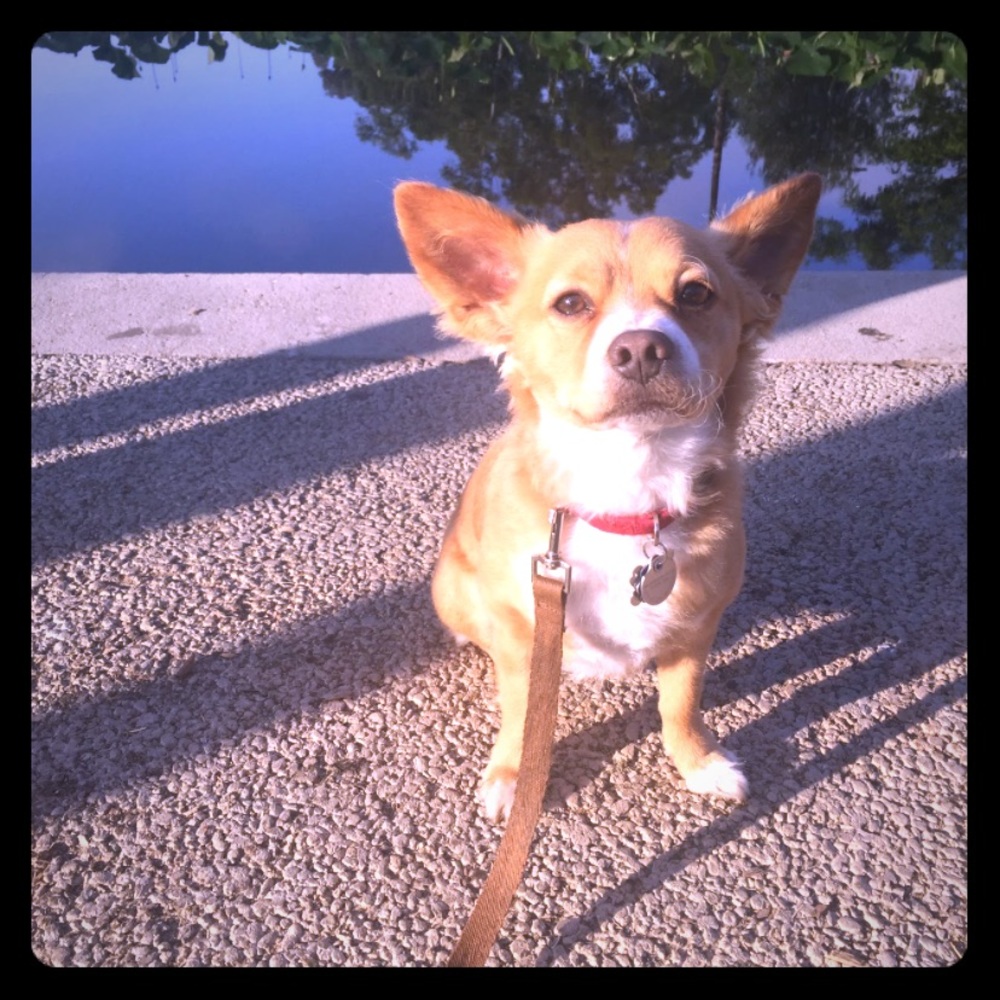 Meet your Posher, Ivette